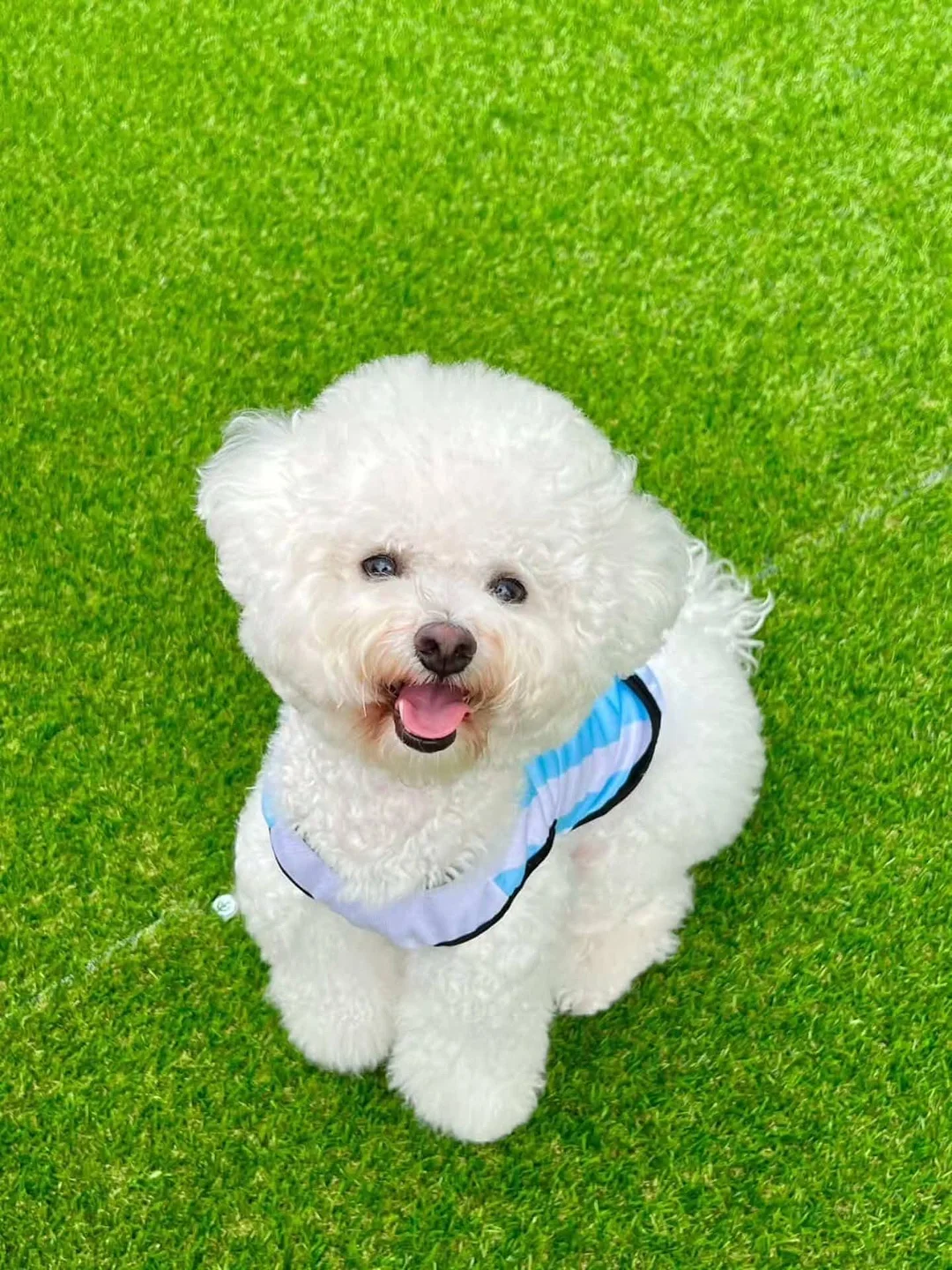 볼륨연장 속눈썹연장 2