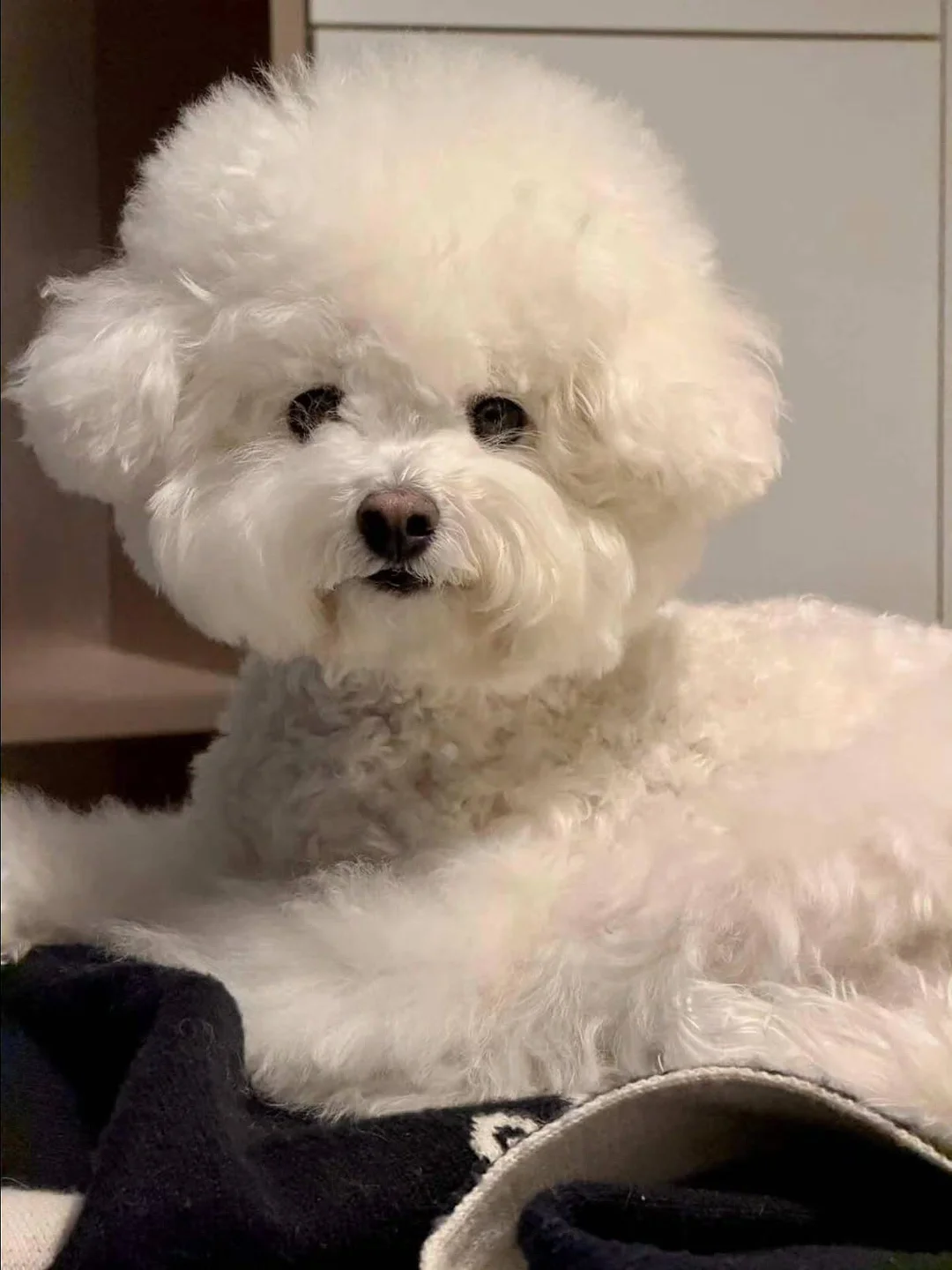 볼륨연장 속눈썹연장 6