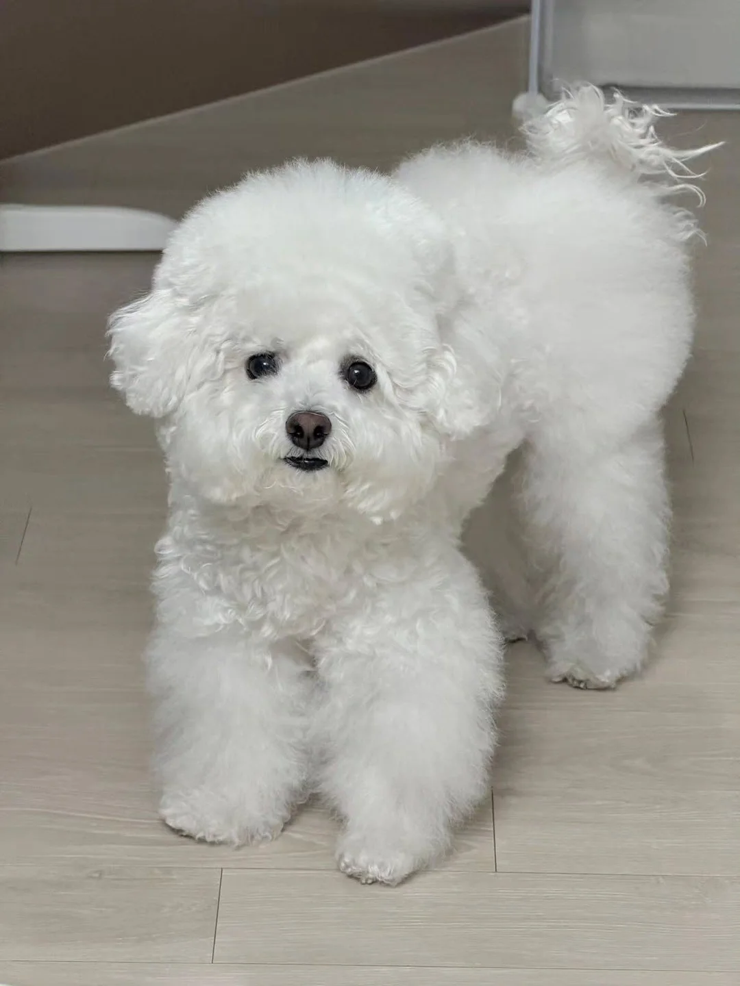 볼륨연장 속눈썹연장 8