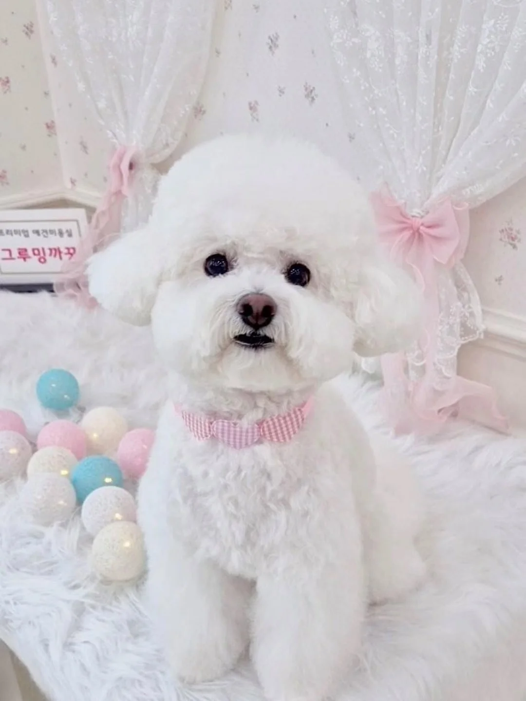 볼륨연장 속눈썹연장 9