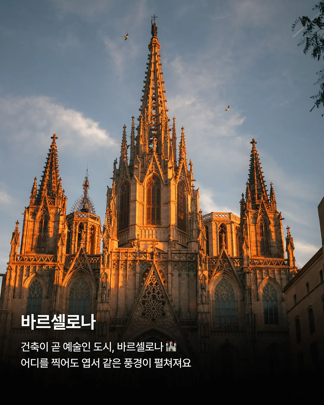 브리즈 플리츠 3종 세트 3