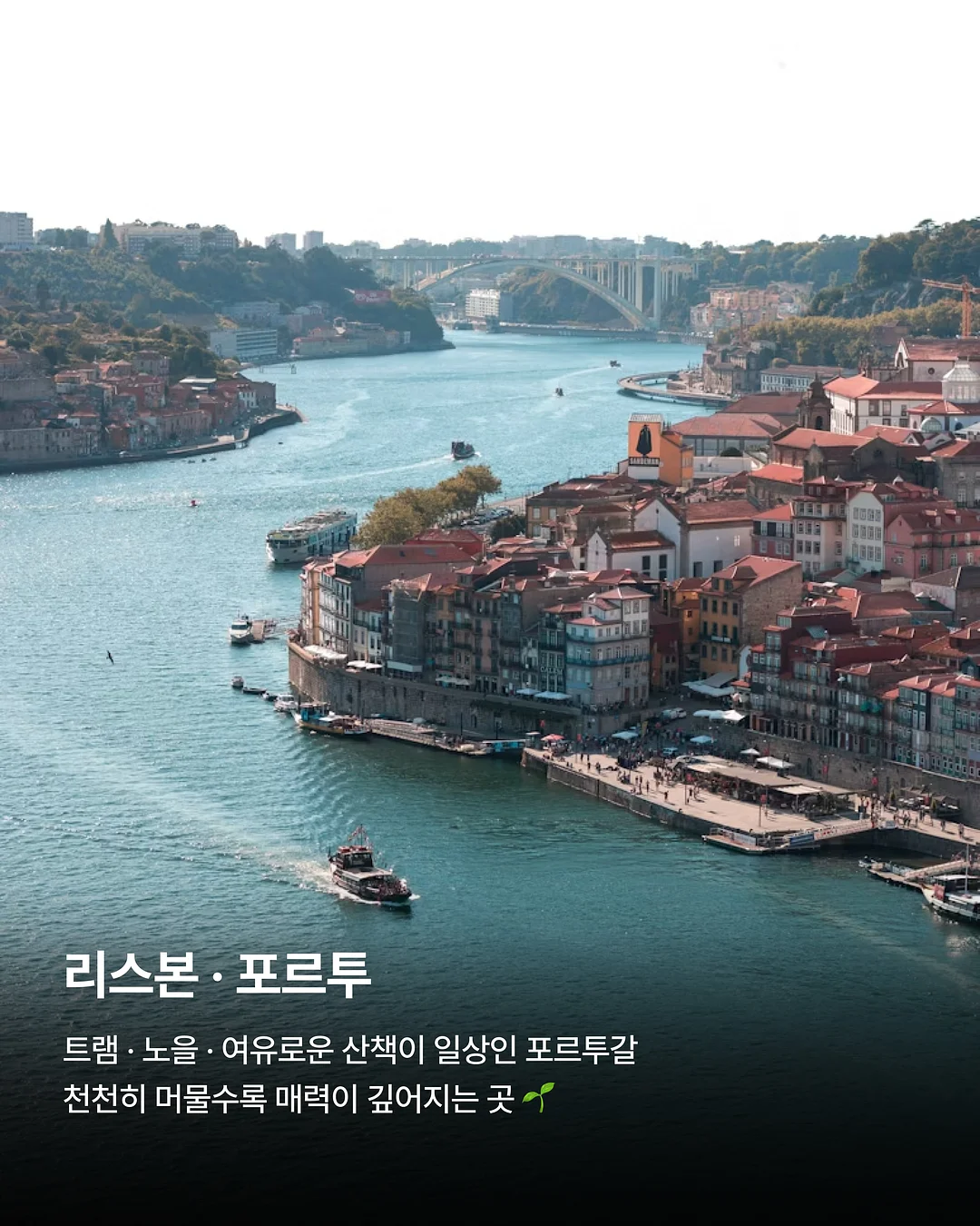 브리즈 플리츠 3종 세트 4