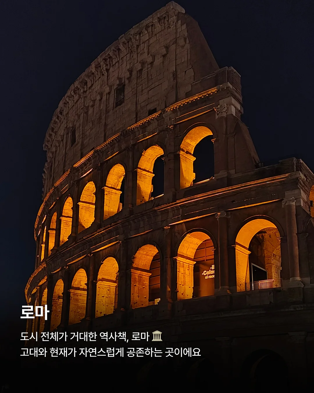 브리즈 플리츠 3종 세트 5