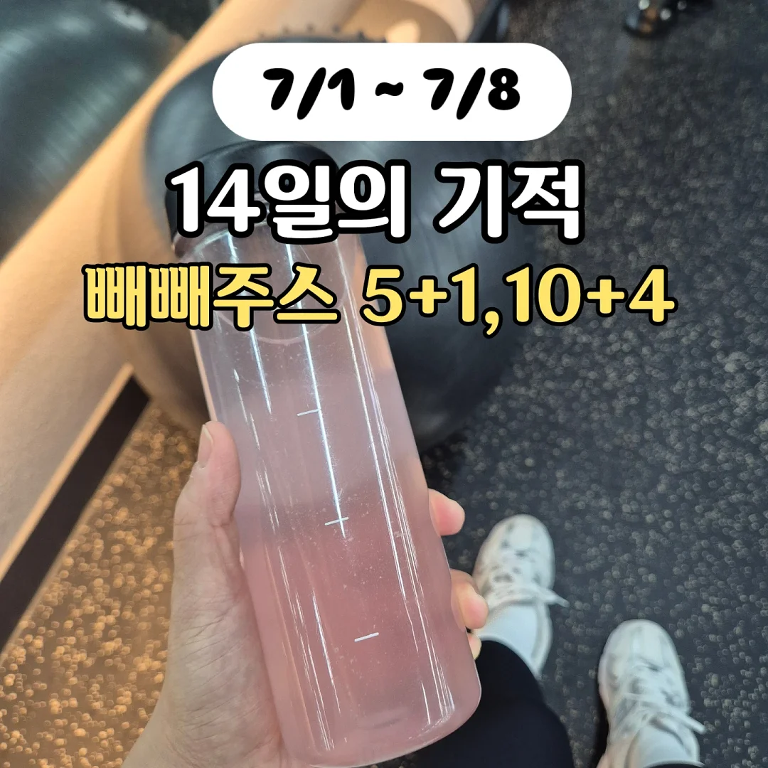 기능성 실내화