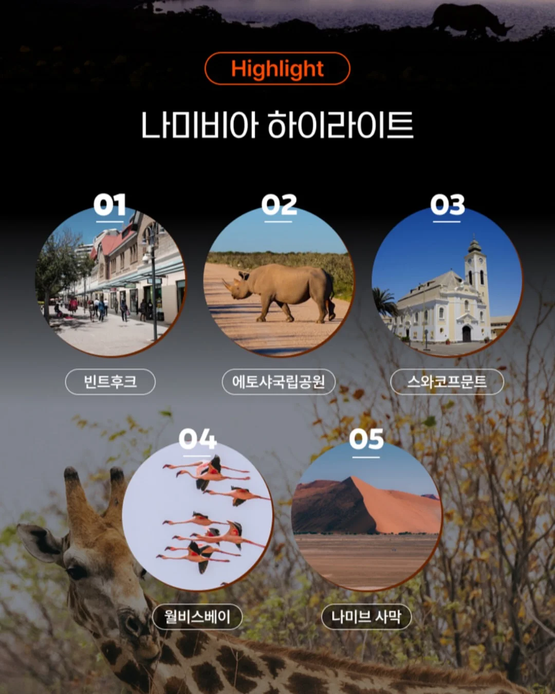 방콕 프랩 아이비캠프 4
