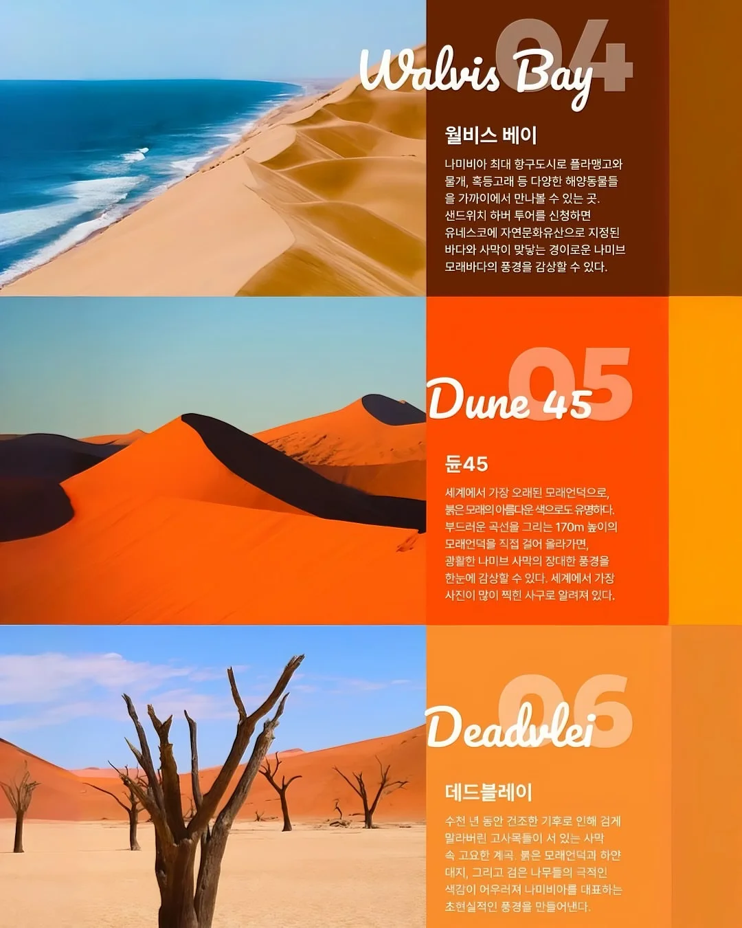 방콕 프랩 아이비캠프 5