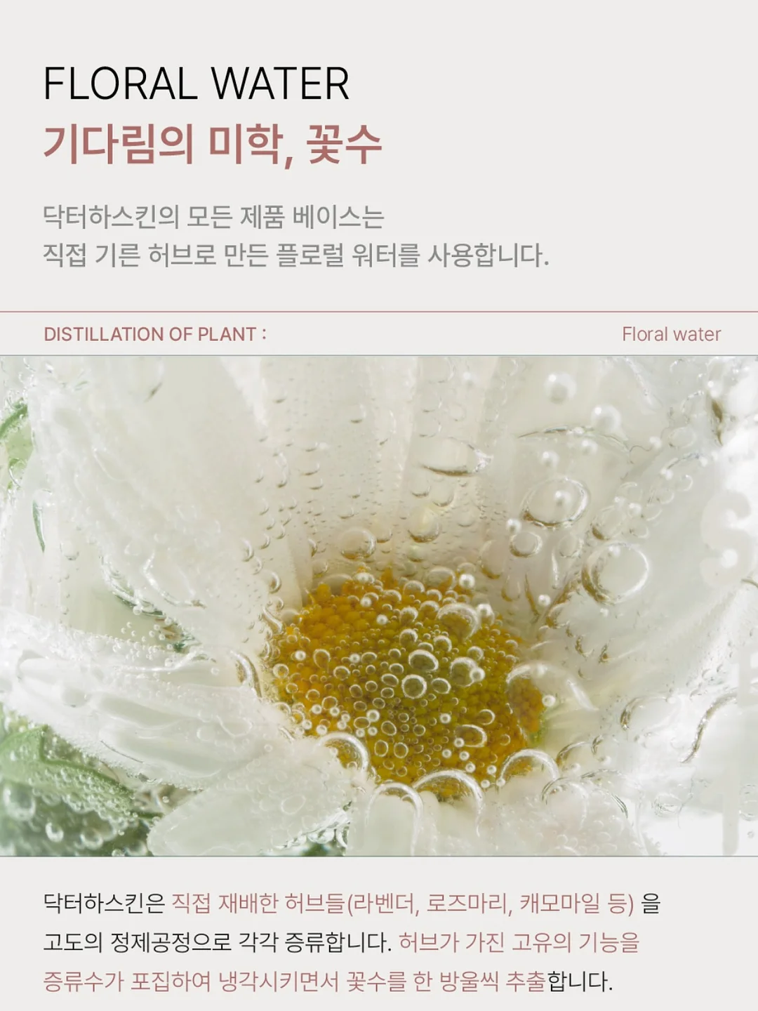 여름 가방 15