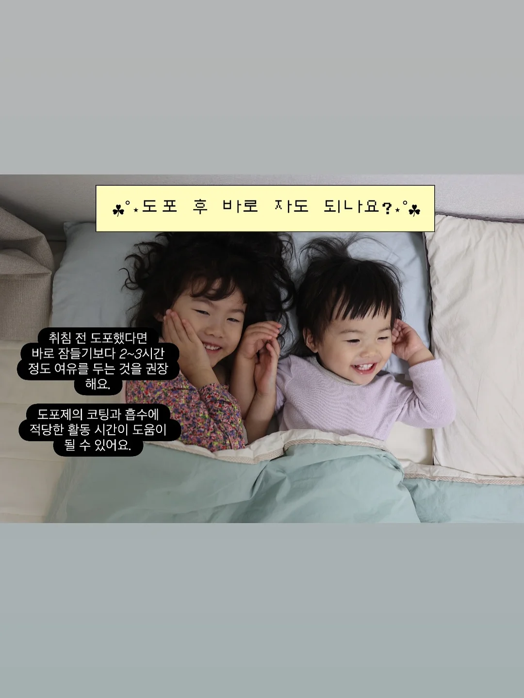 레꼴뜨 무선 초퍼 6
