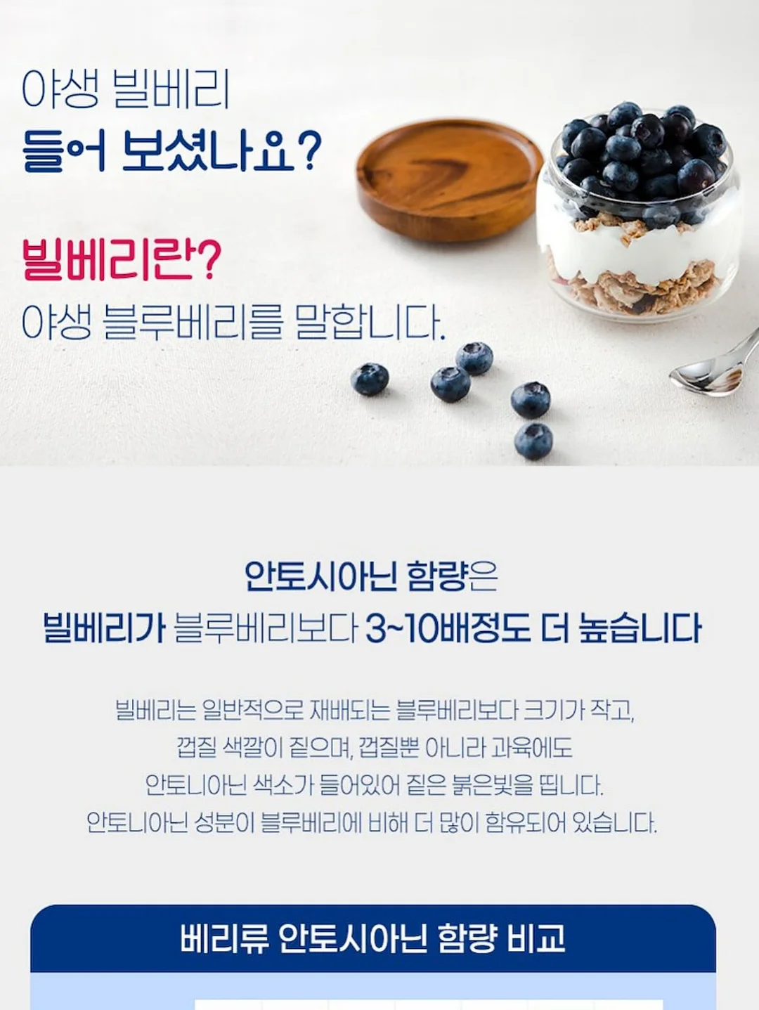 패밀리 래쉬가드 20