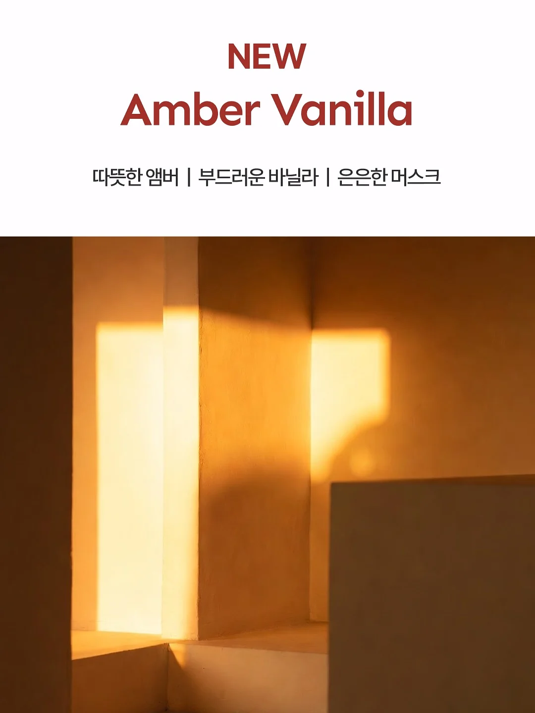 갑수동 도그 워커 클럽 11