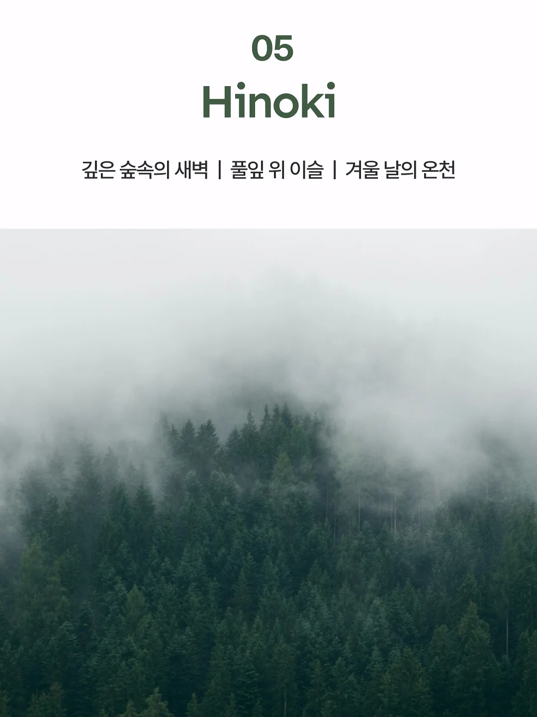 갑수동 도그 워커 클럽 12