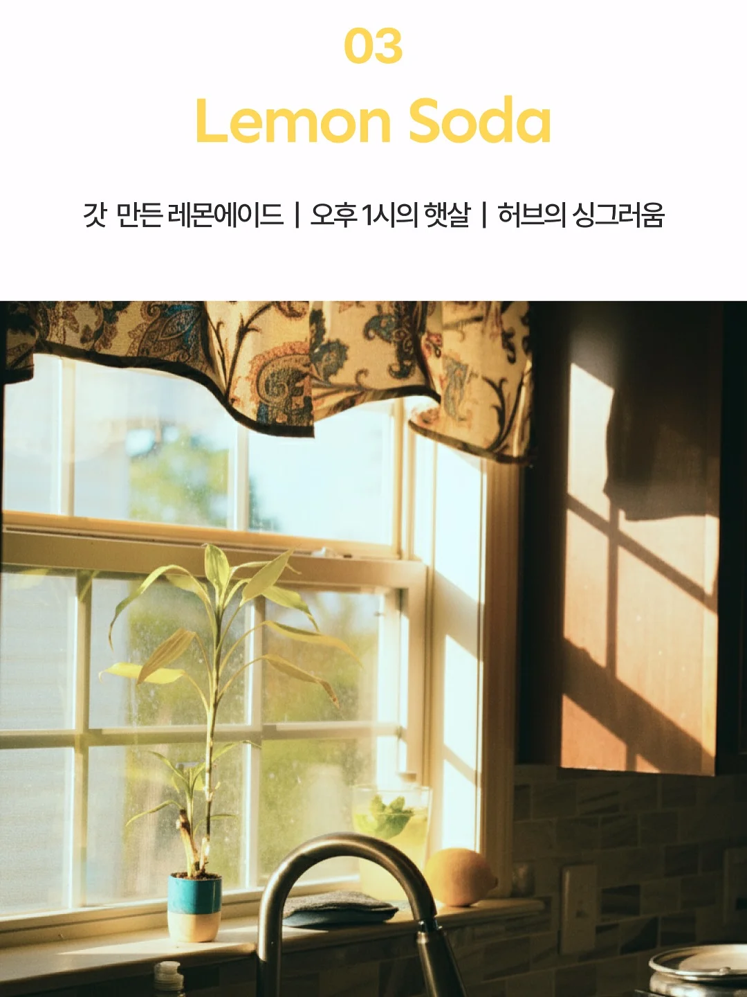 갑수동 도그 워커 클럽 14