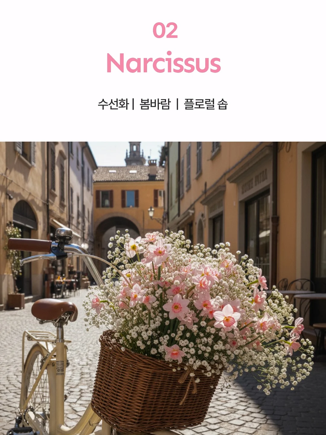 갑수동 도그 워커 클럽 15
