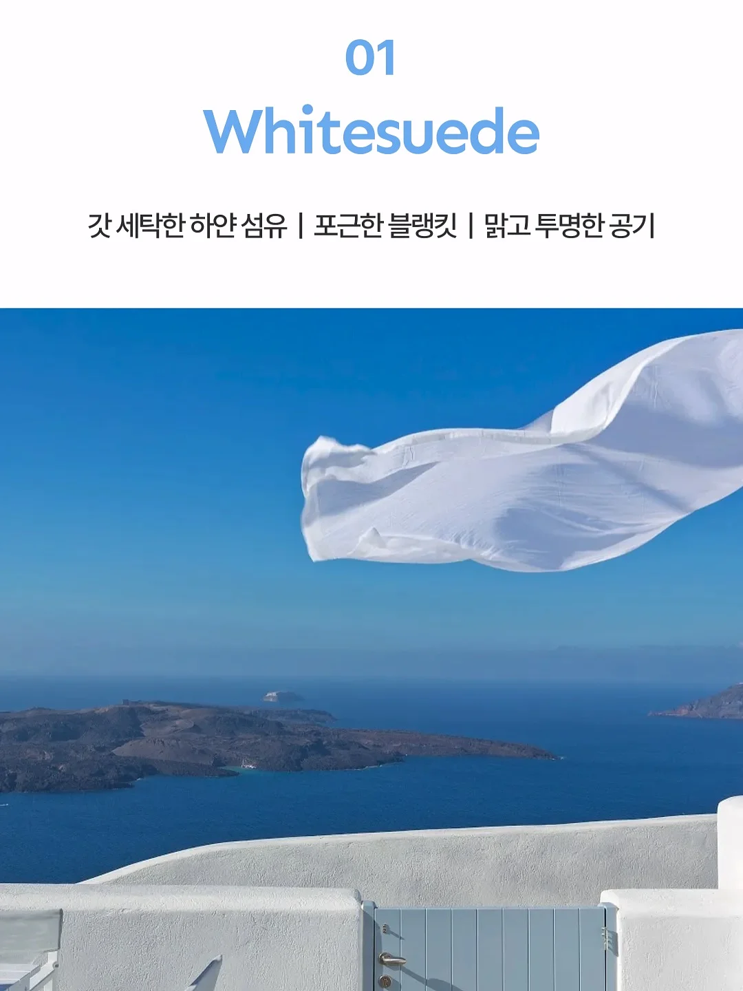 갑수동 도그 워커 클럽 16