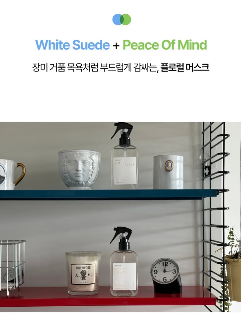갑수동 도그 워커 클럽 9
