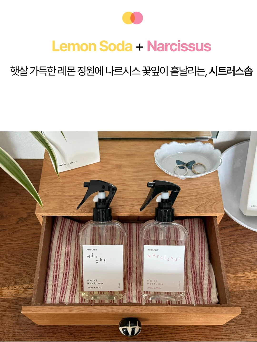 갑수동 도그 워커 클럽 10