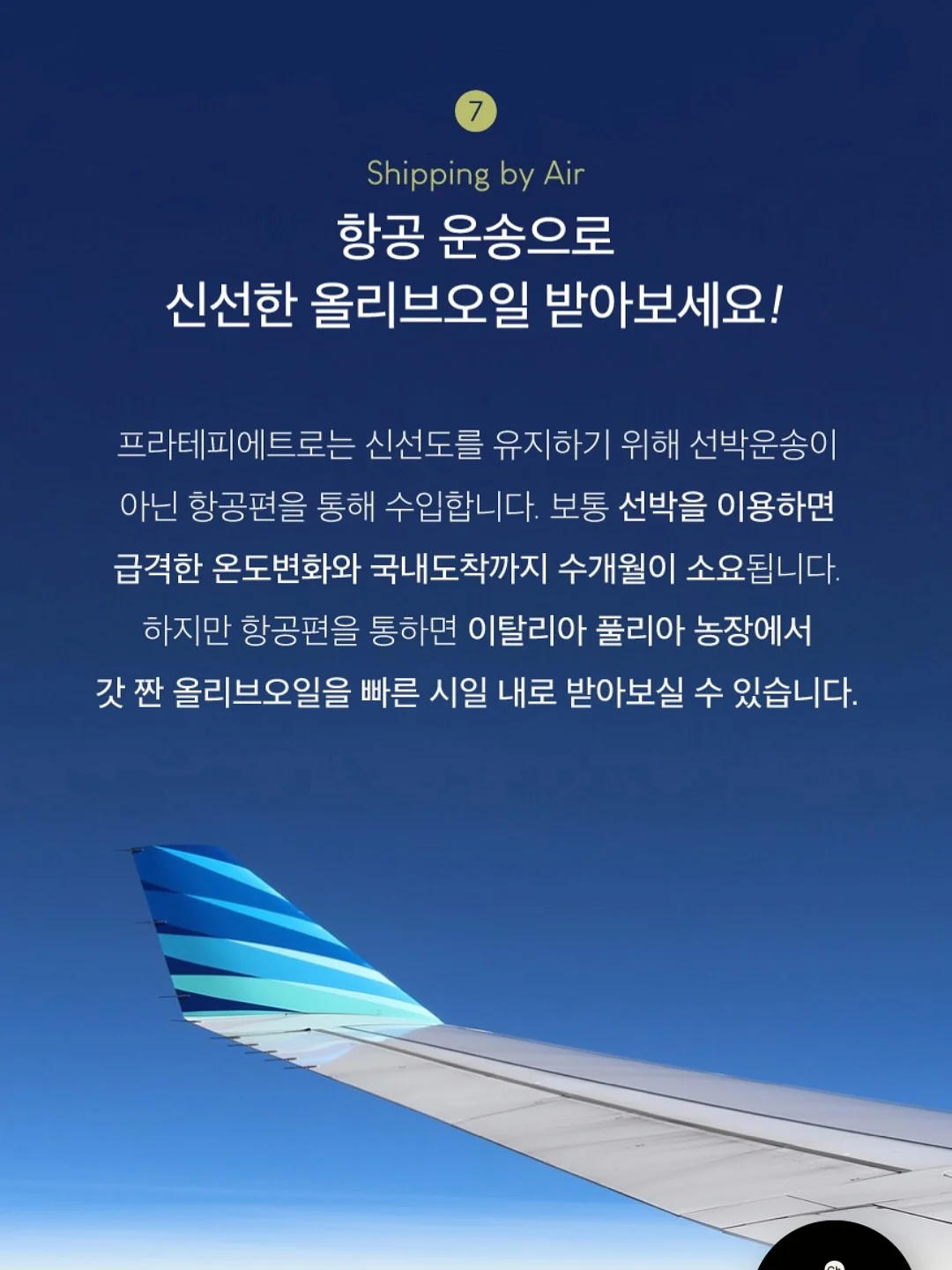 망고나시와 훌스커트 8