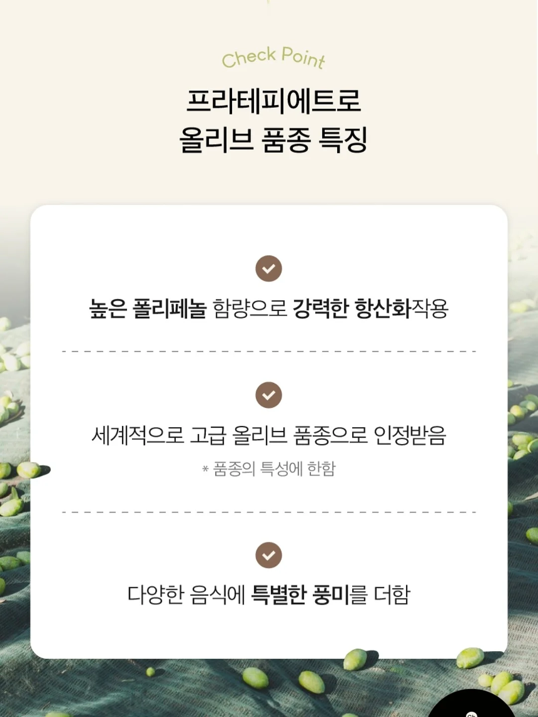 망고나시와 훌스커트 9