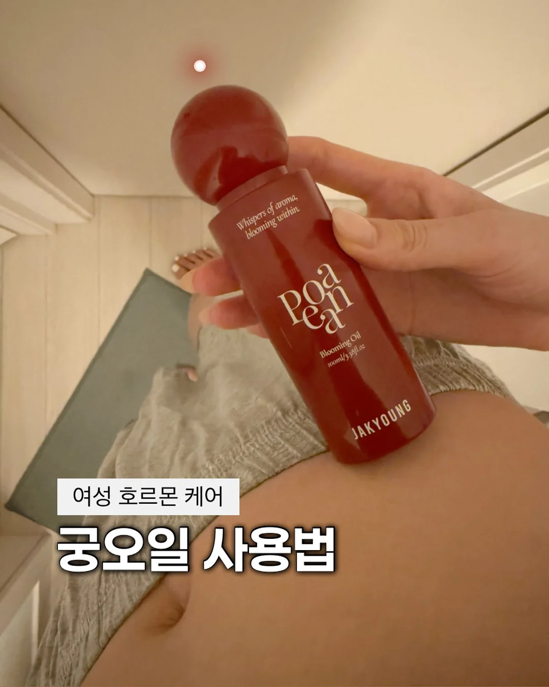 전선 정리함 1