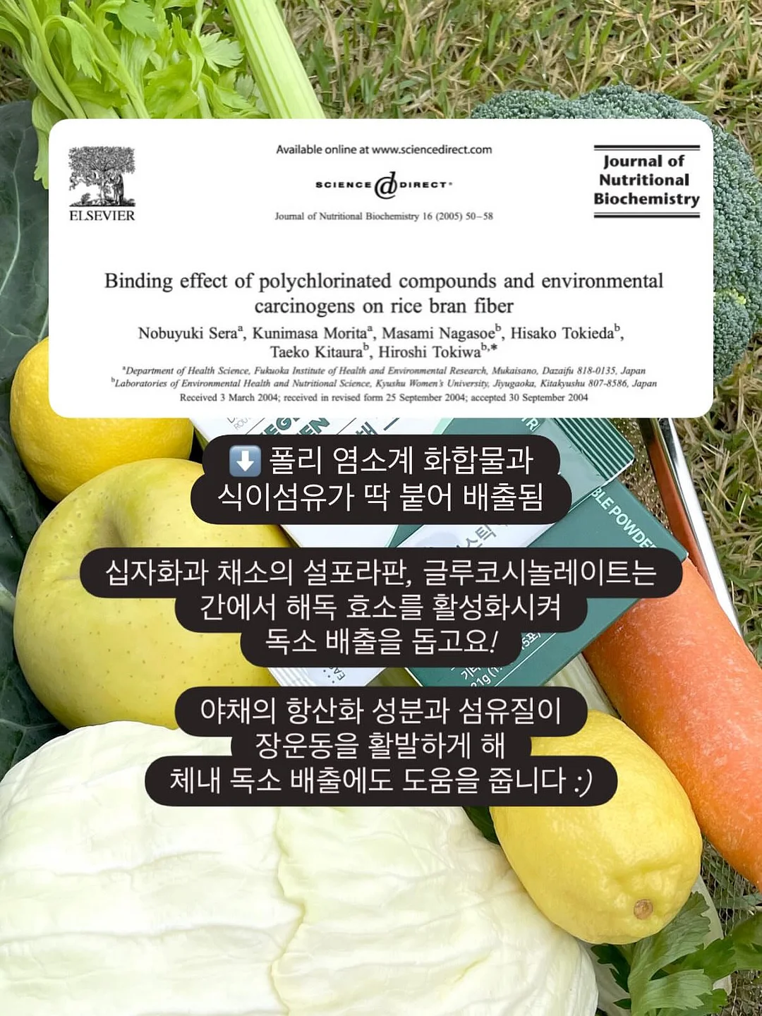 블라우스 + 플리츠 스커트 세트 14