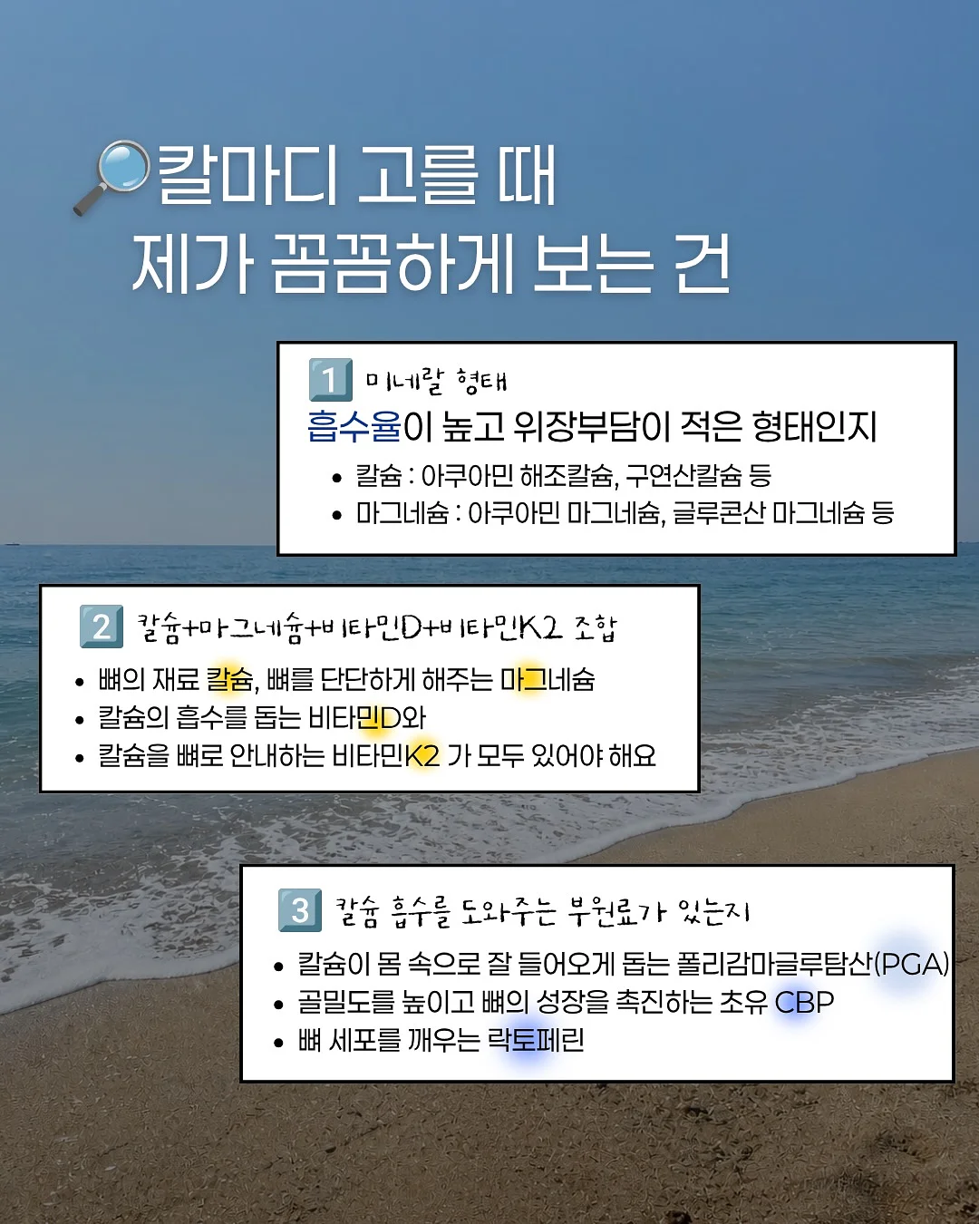 자숙 문어회 3