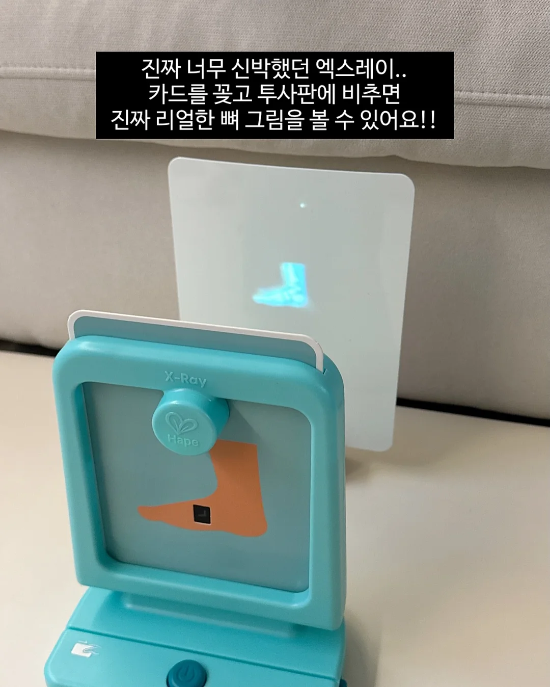 리셋 주스 디다샷 7