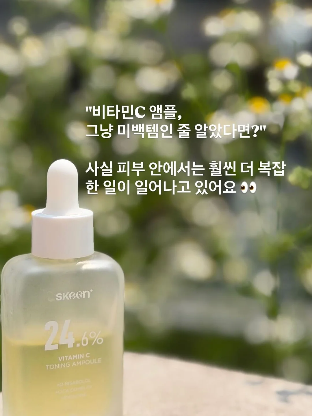 반려 선인장 1