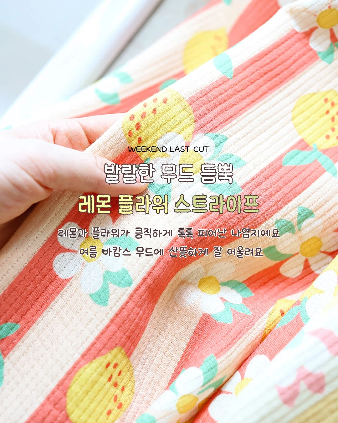 오리 디자인 도자기 식기 4