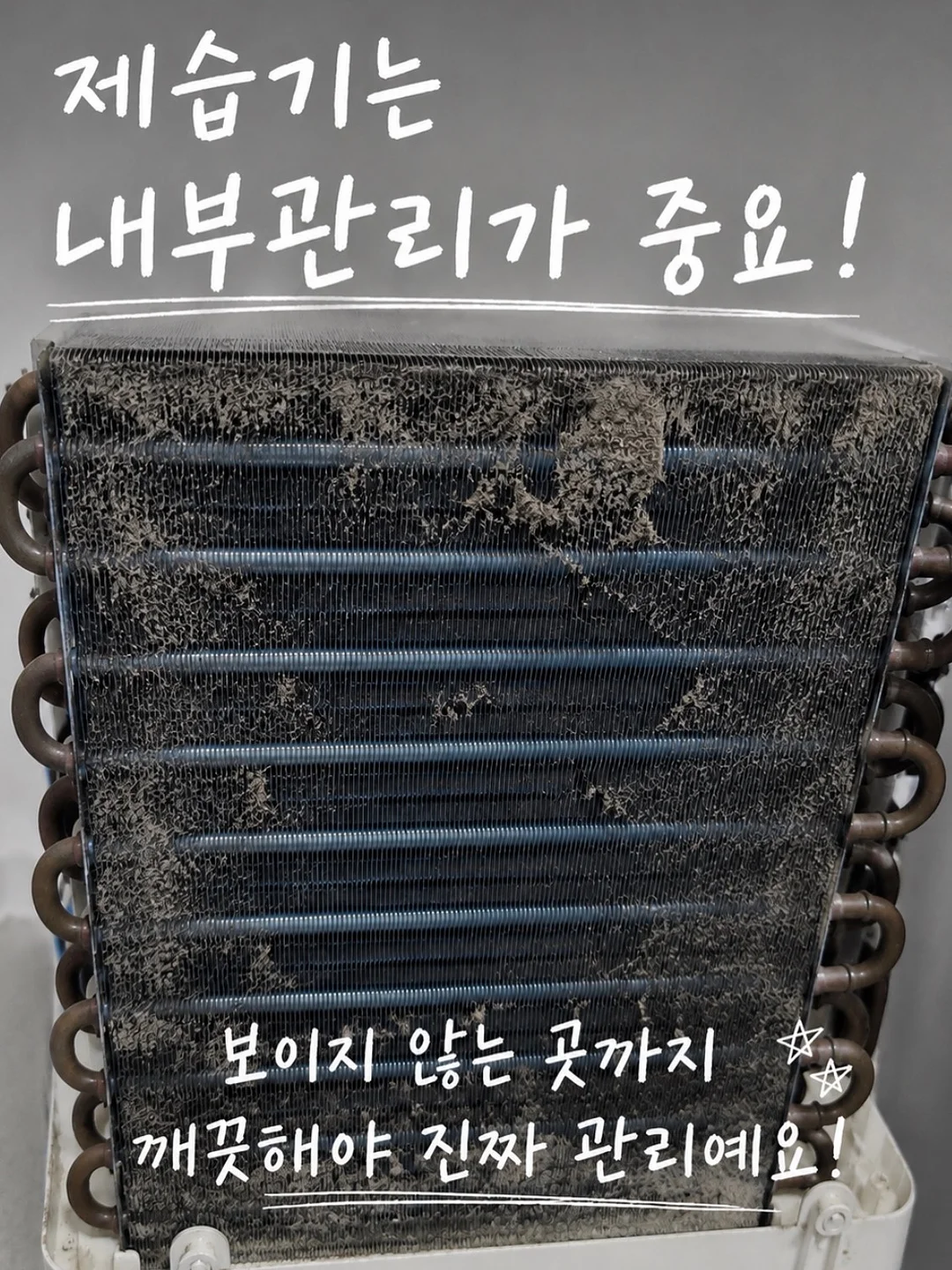 운동화 3
