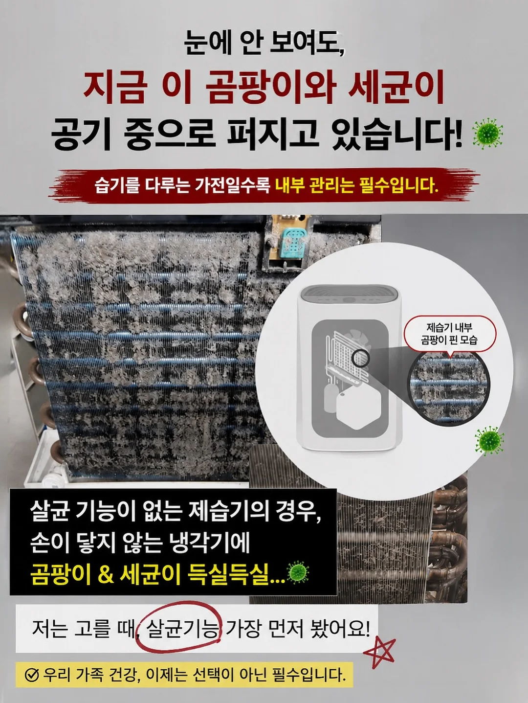 운동화 4