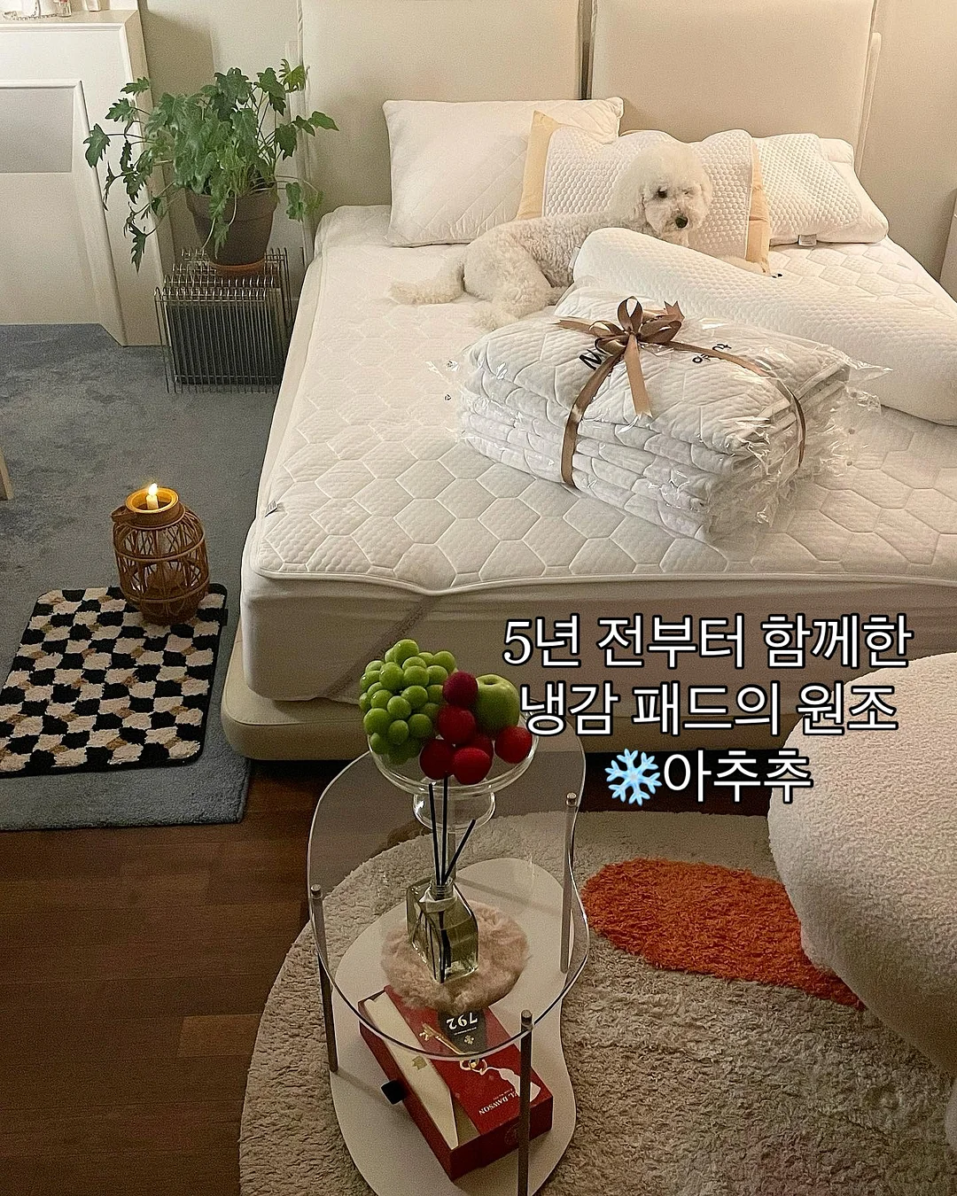 하남 쭈꾸미 1