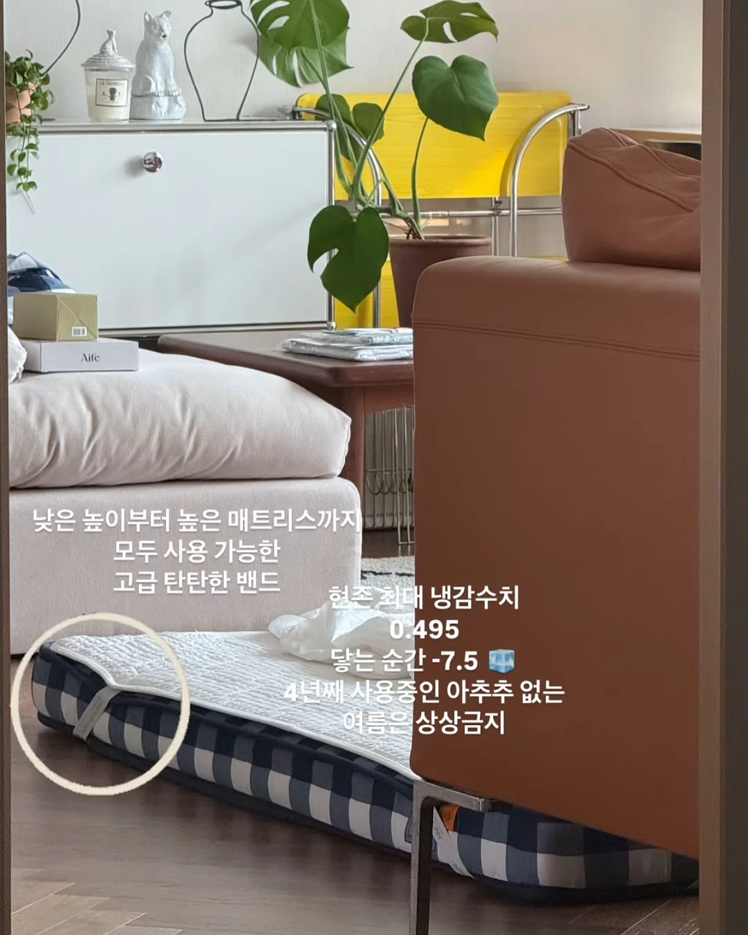 하남 쭈꾸미 15