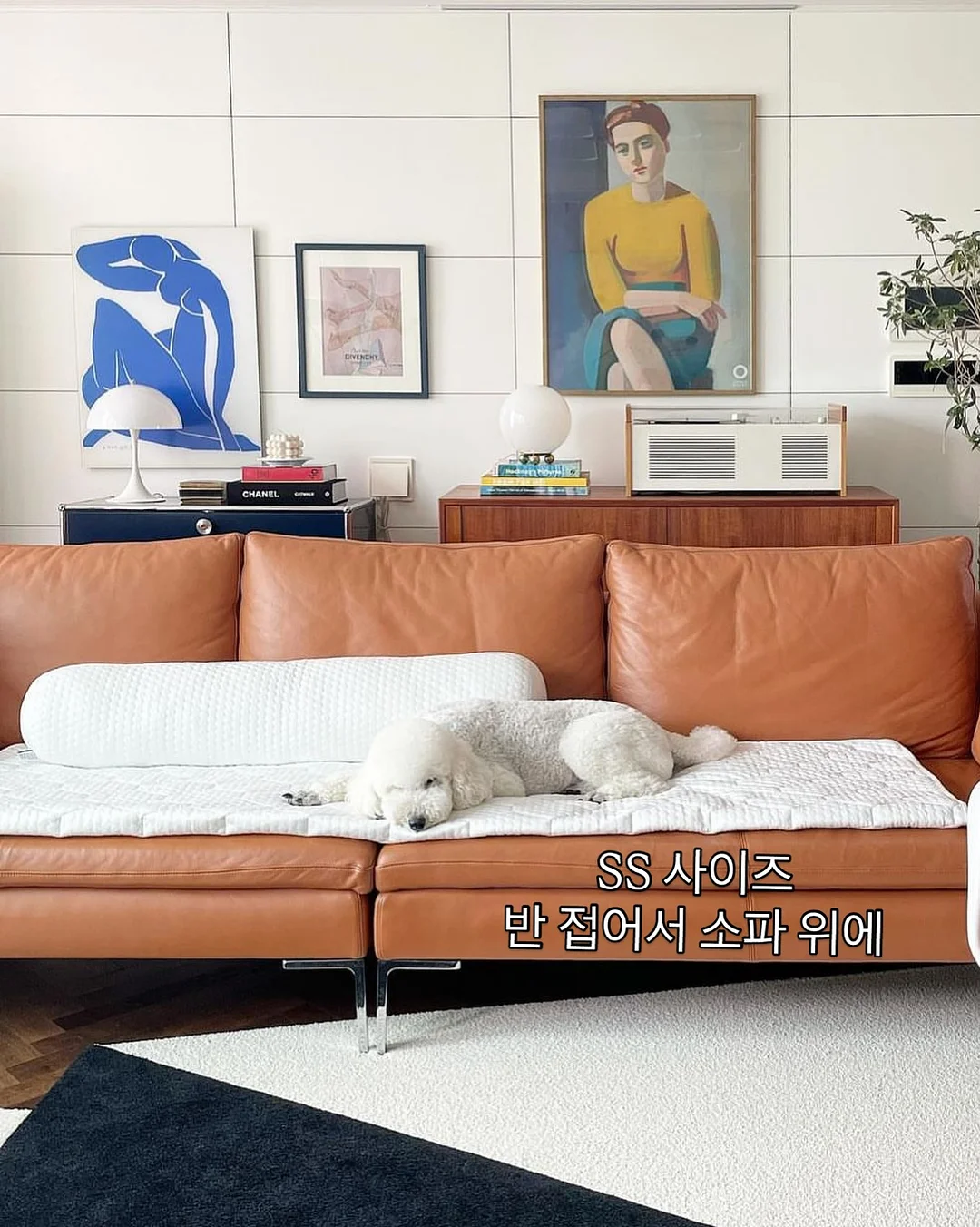 하남 쭈꾸미 7