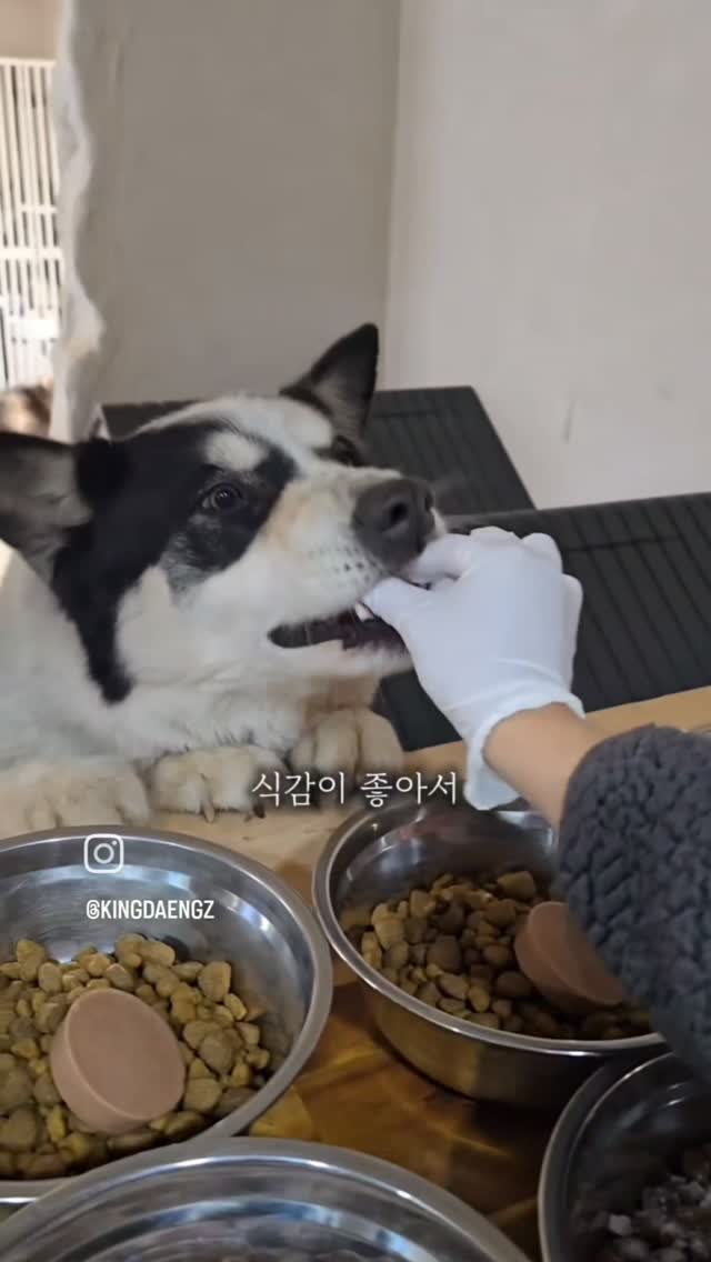식이습관 식이섬유