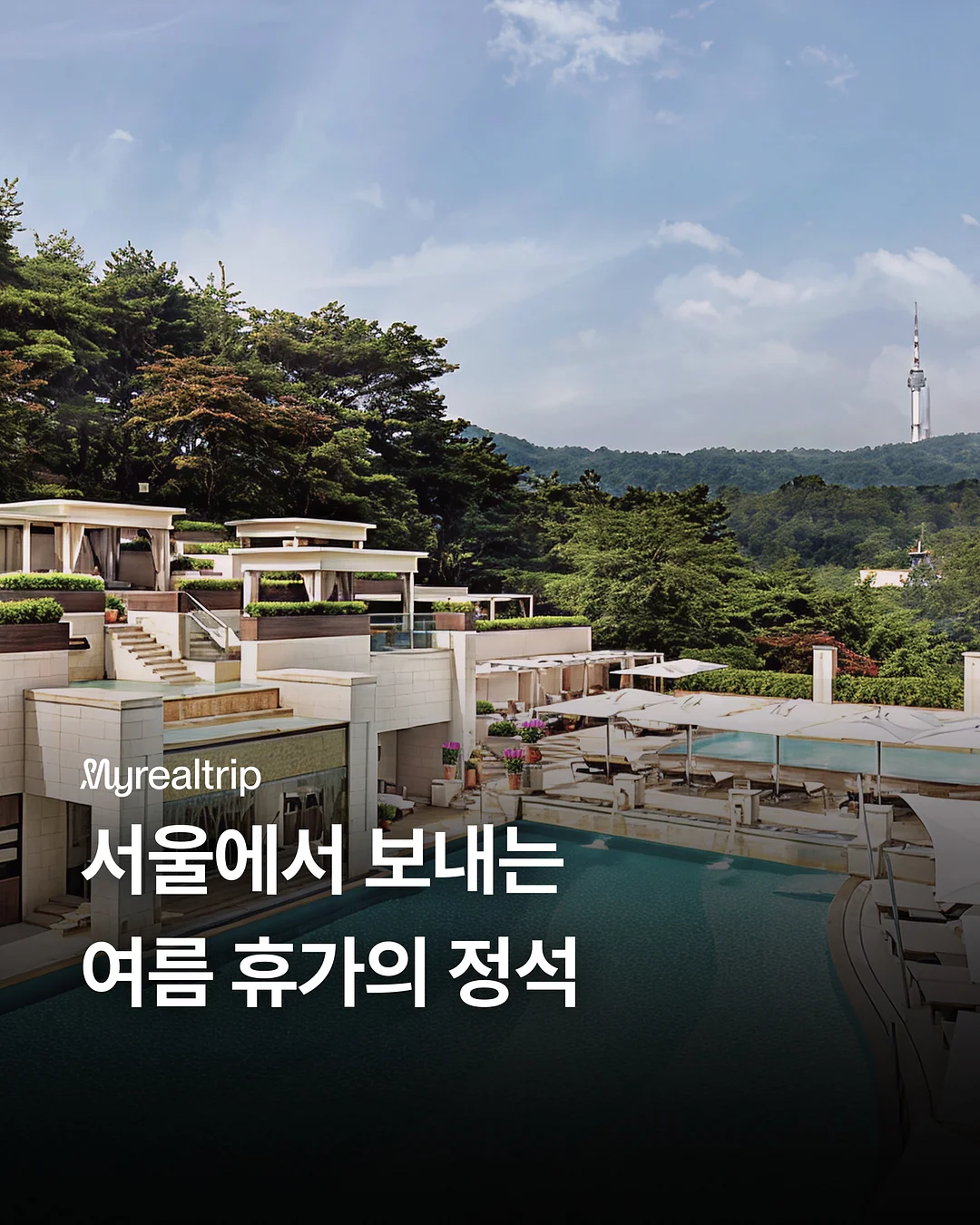 신김치 1