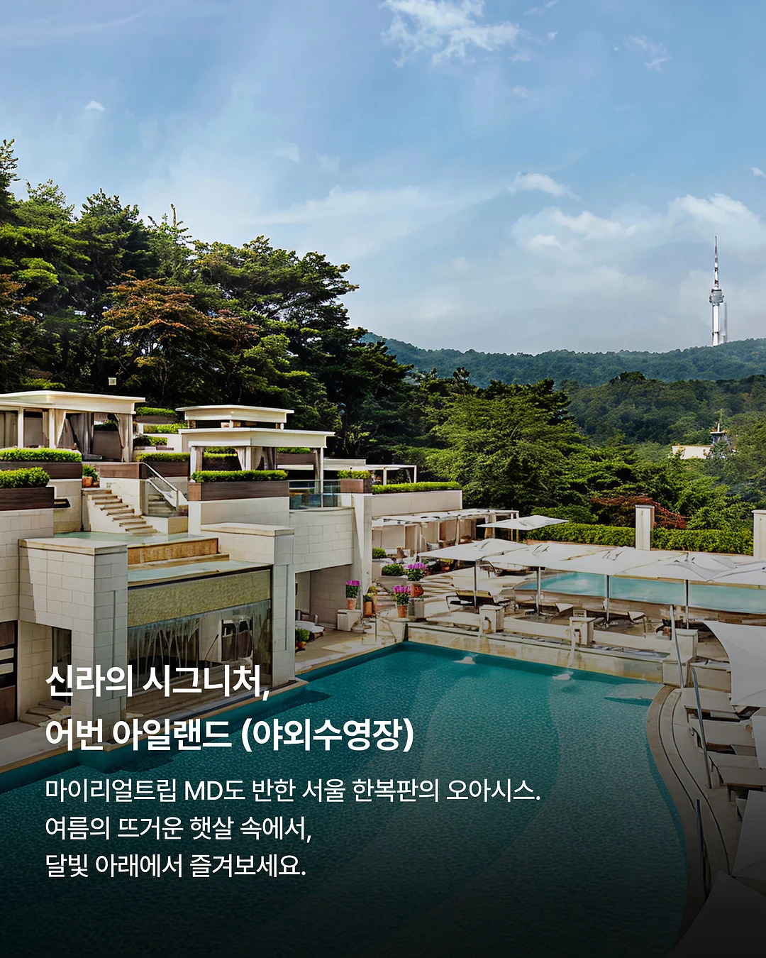 신김치 5