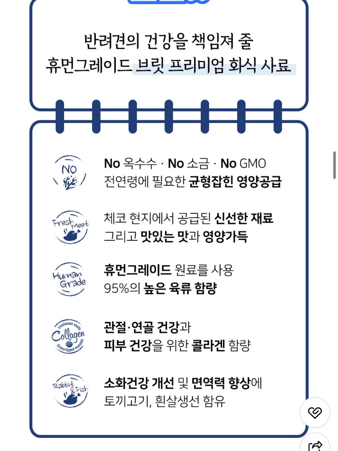 화병 세트 11