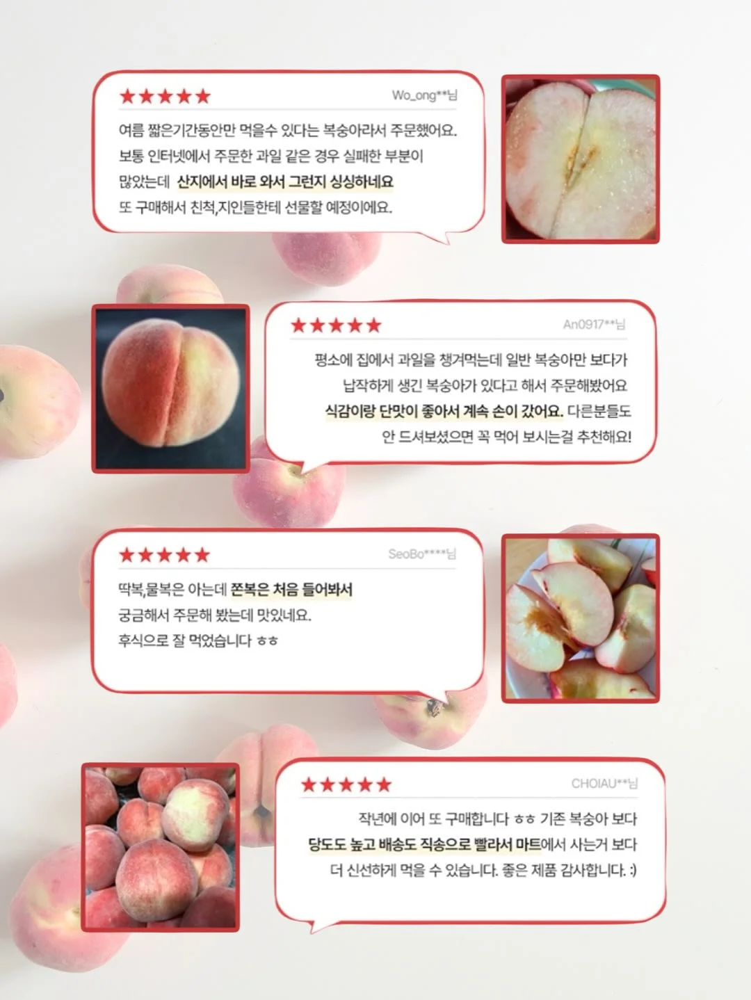 장미 12