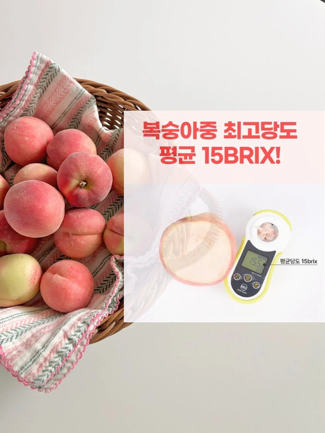장미 3