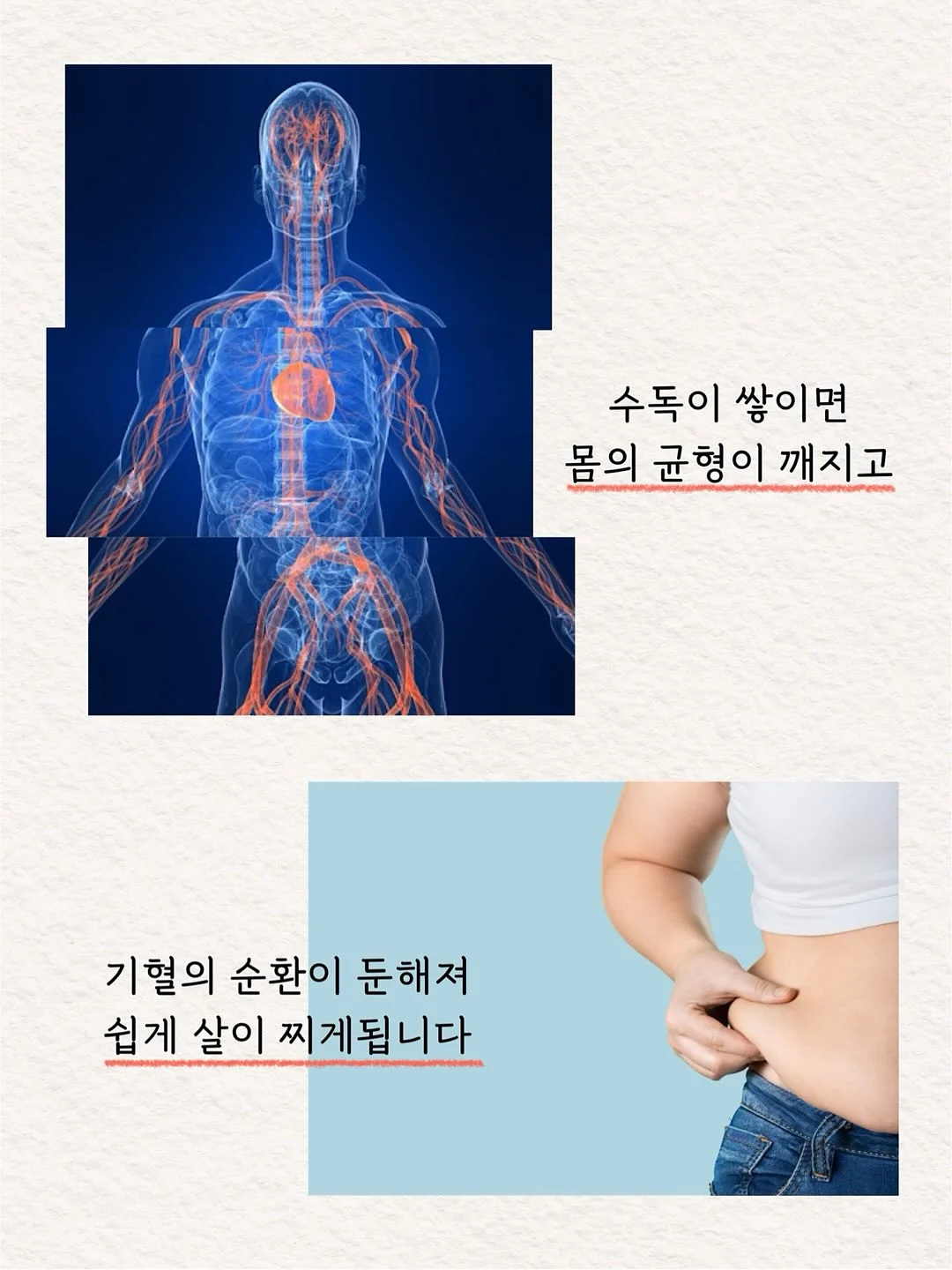 시어 골지 가디건 4