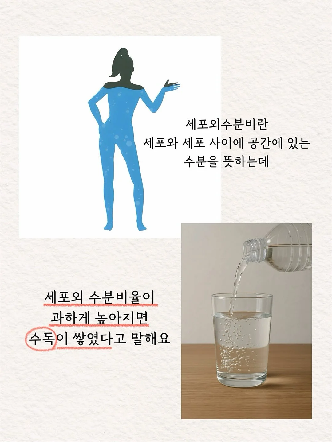 시어 골지 가디건 5
