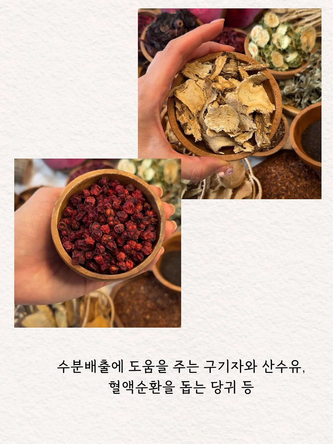 시어 골지 가디건 7