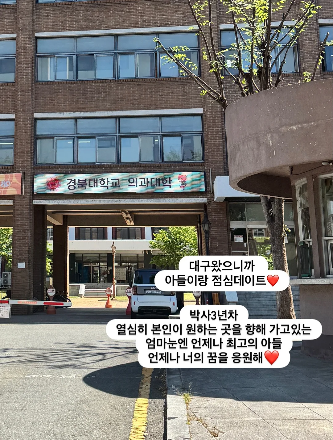 시스셔츠 8