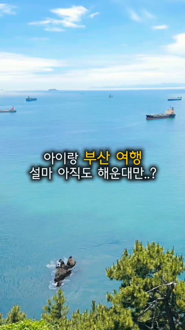 마마포레스트 고체탈취제