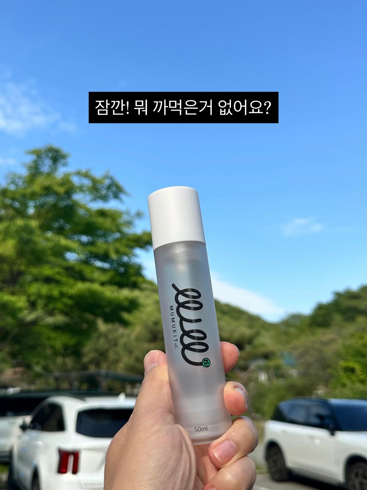 크림 미스트 17