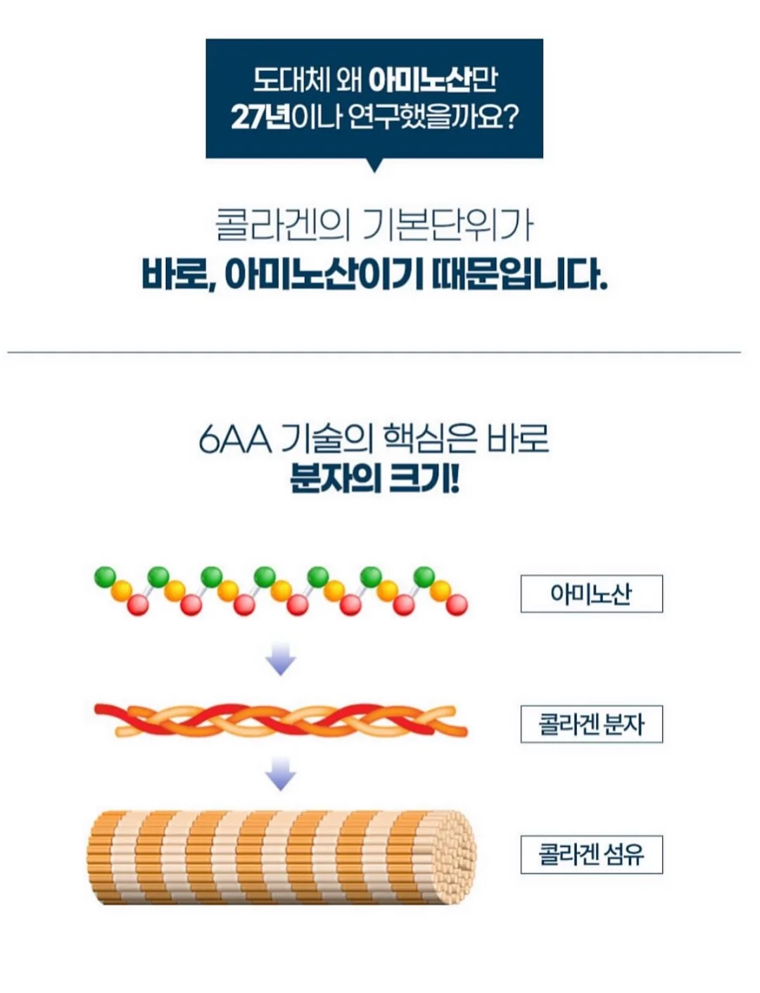 발레 스니커즈 11