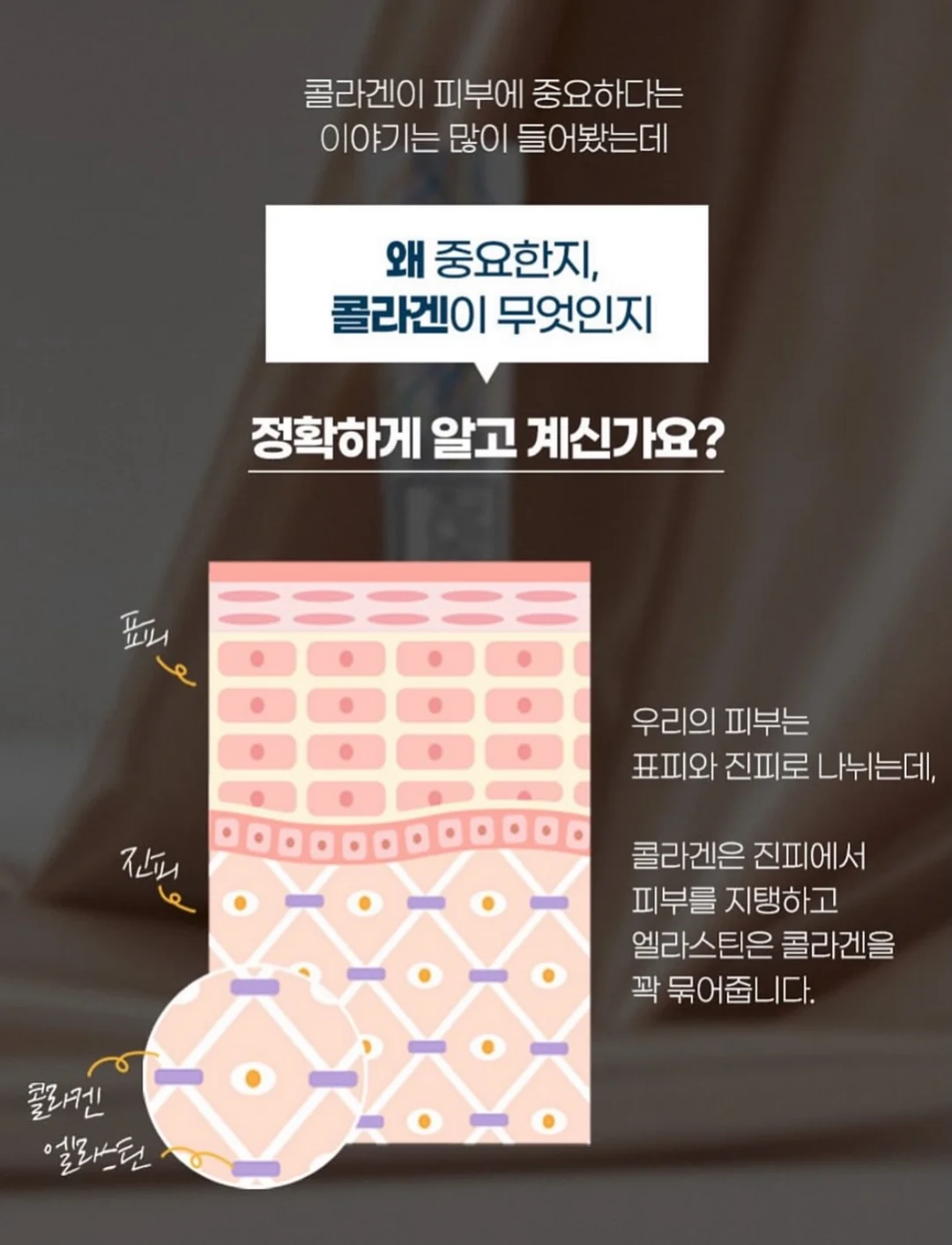 발레 스니커즈 12