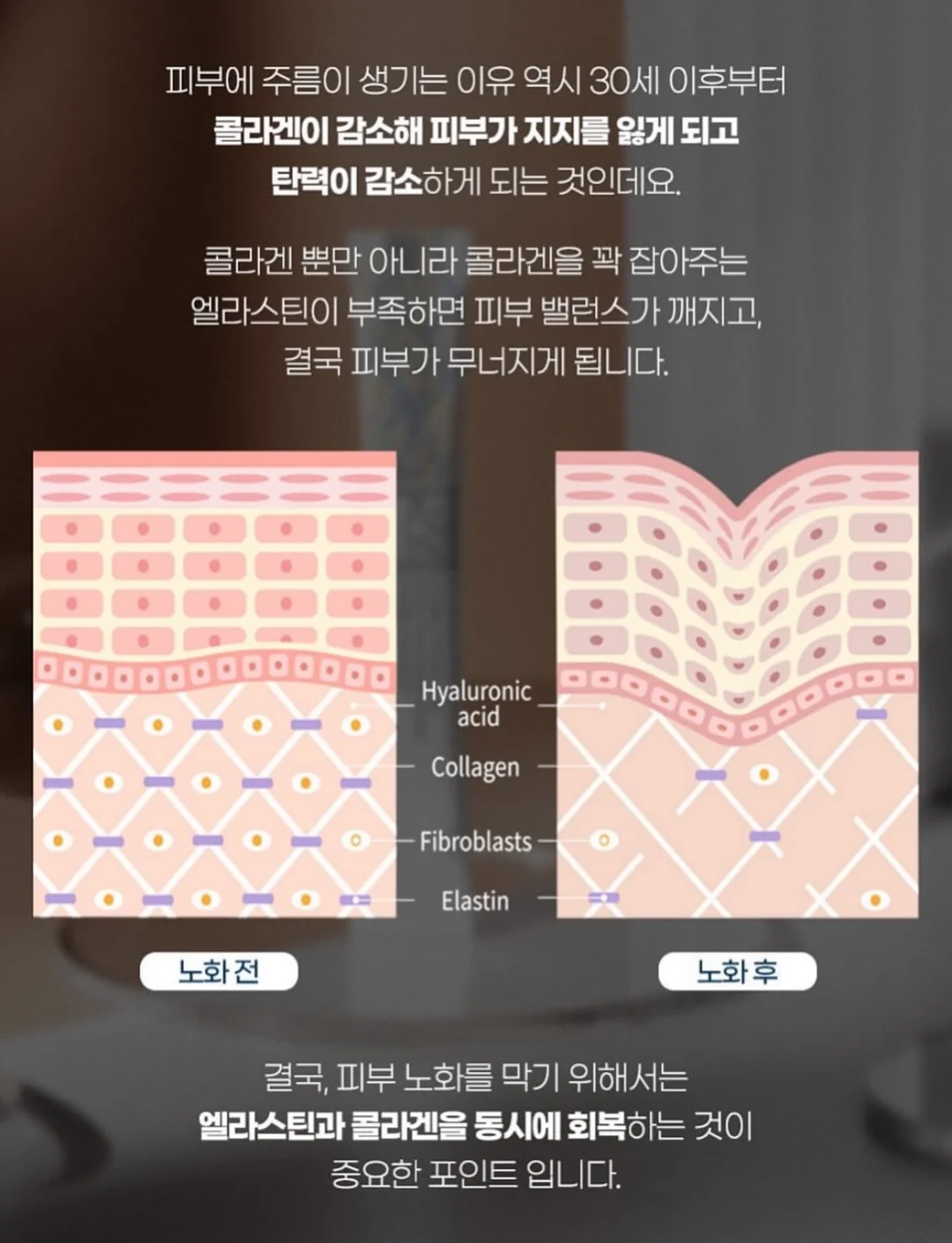 발레 스니커즈 13