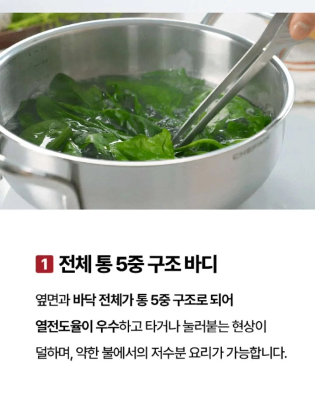 라코스테 조거팬츠 11