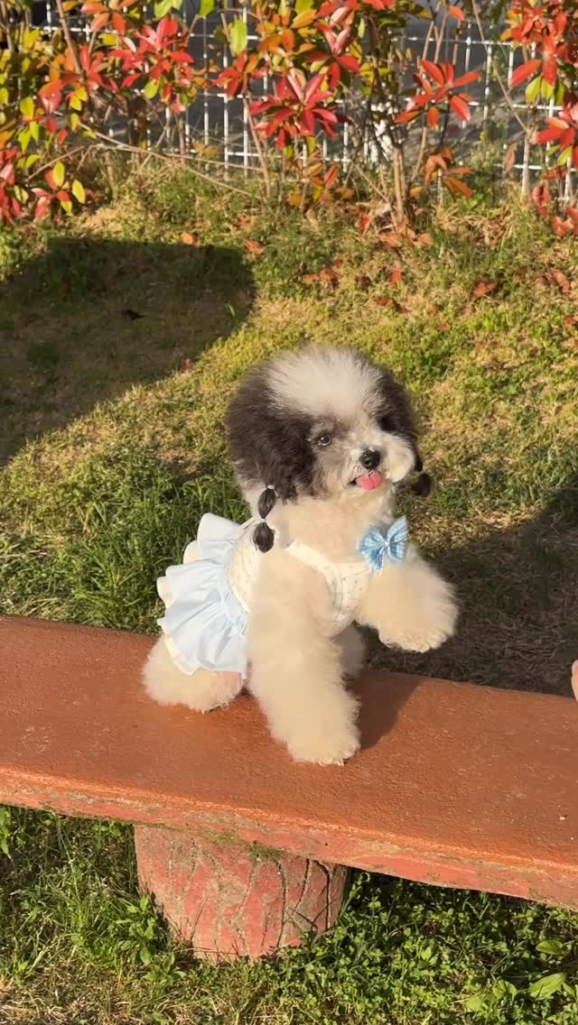 로이첸 아이바큠 진공밀폐용기